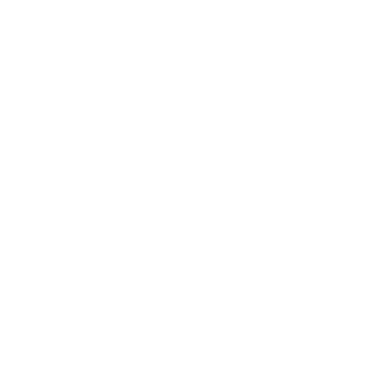 mentor.es